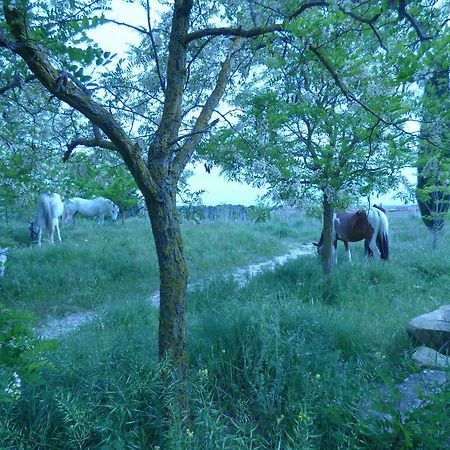 ホテル Campo De Reyes タファリャ エクステリア 写真